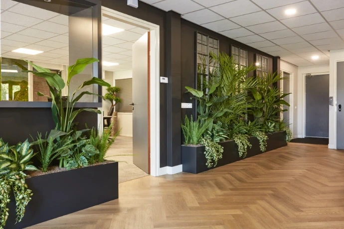 Plantenbakken in kantoor