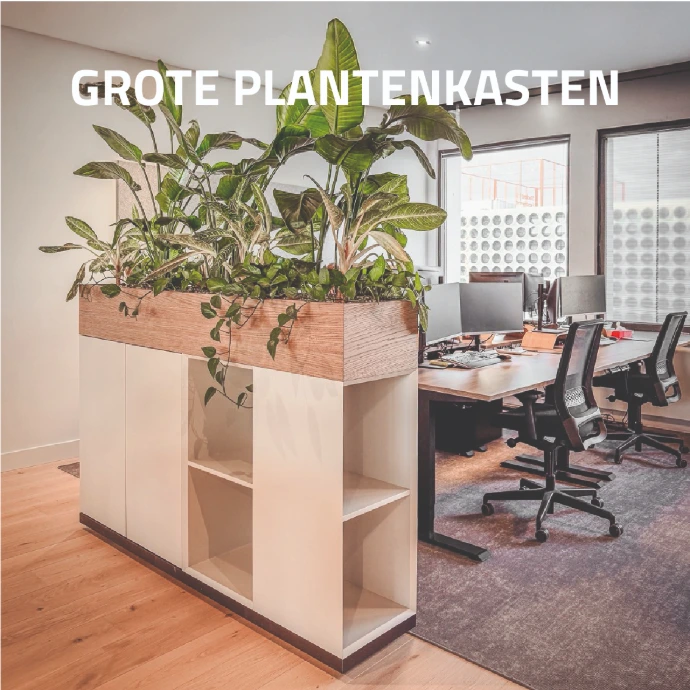 Plantenkast in gebruik op kantoor