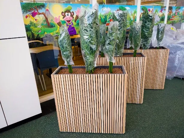 Plantenbakken klaar voor Monkey Town