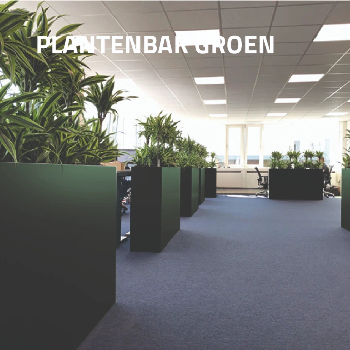 Grote groene plantenbakken als roomdivider