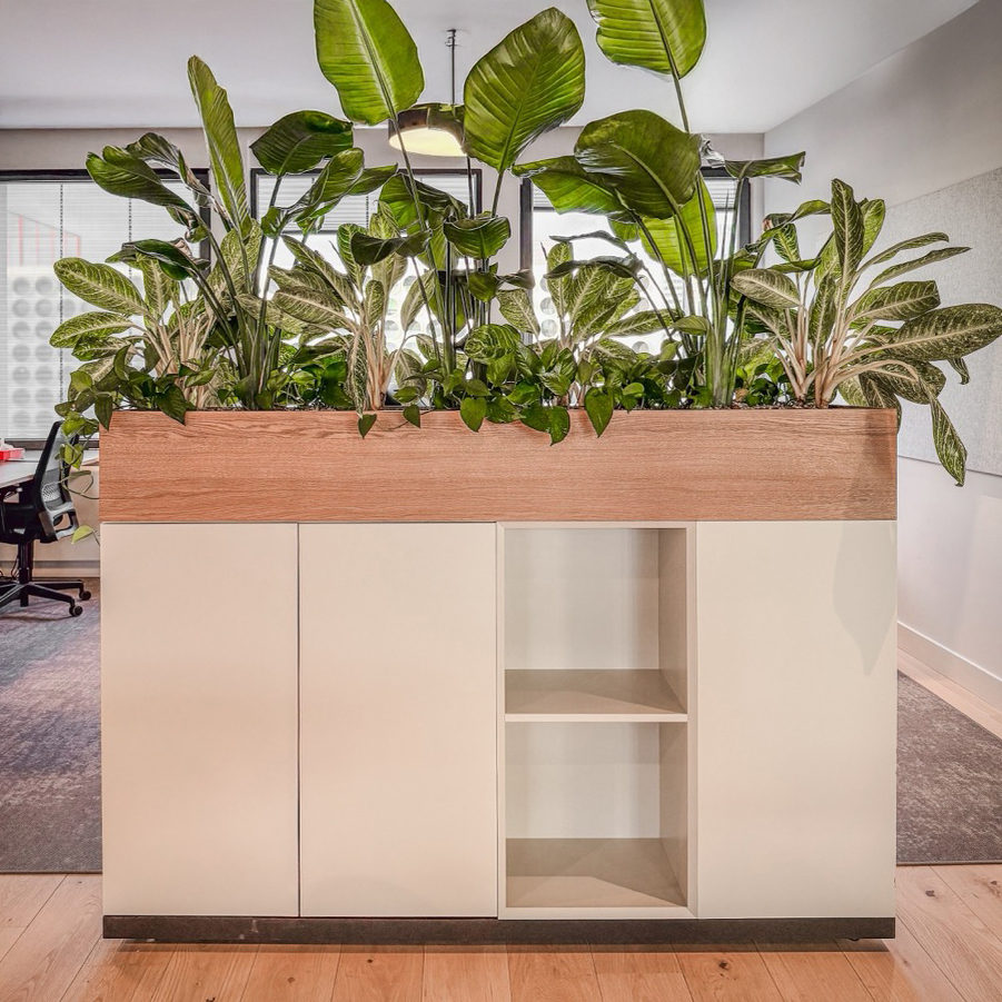 250207_JulietWong_Dream-49 groot-bewerkt.jpg