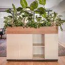 250207_JulietWong_Dream-49 groot-bewerkt.jpg