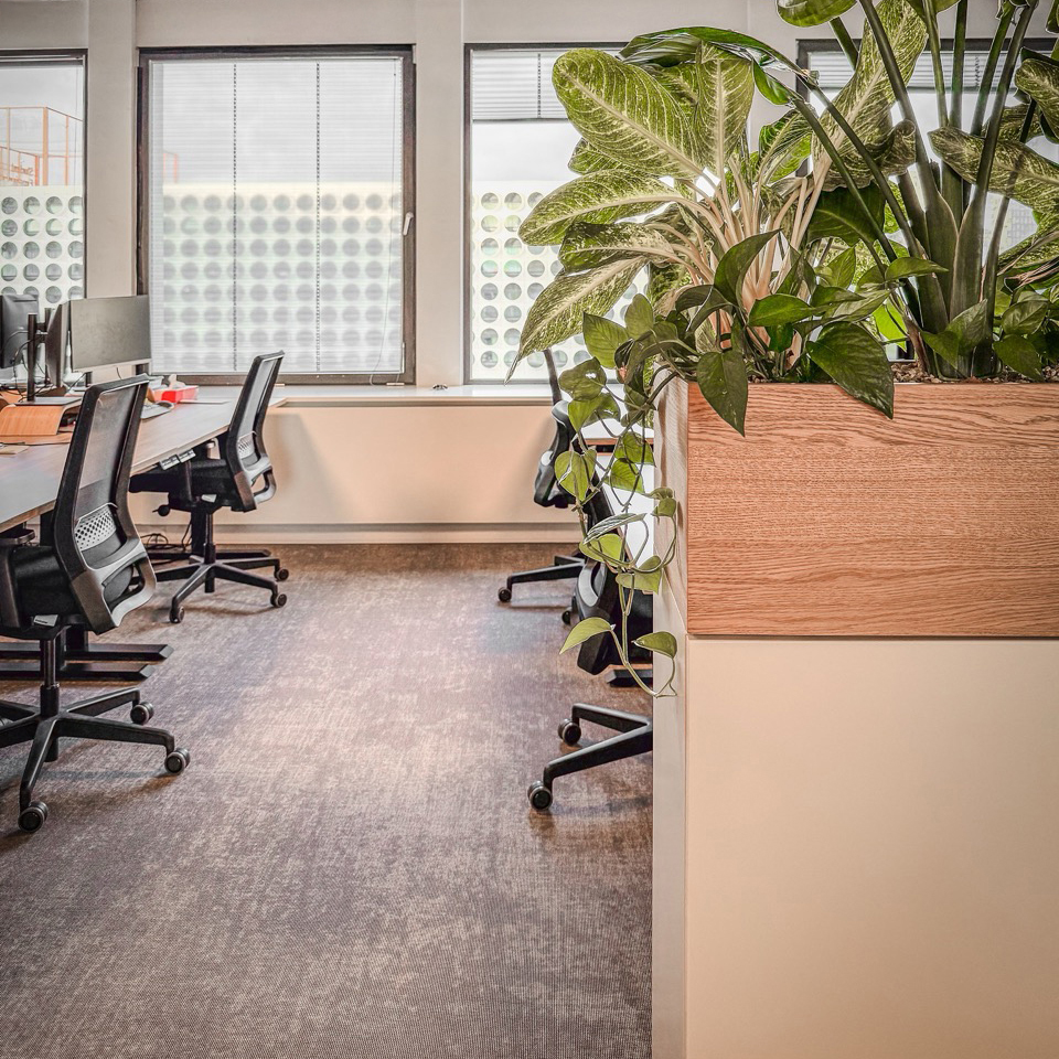 250207_JulietWong_Dream-54 groot-bewerkt.jpg