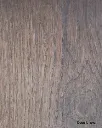 Deer-brown.png