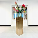 Foto Juliet model 2009 - Dark Bronze metallic lak 7-11-2024.001.jpg