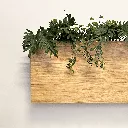 SF_hangende_plantenbak_EikenFineer-2.webp