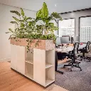 Grote Plantenkasten
