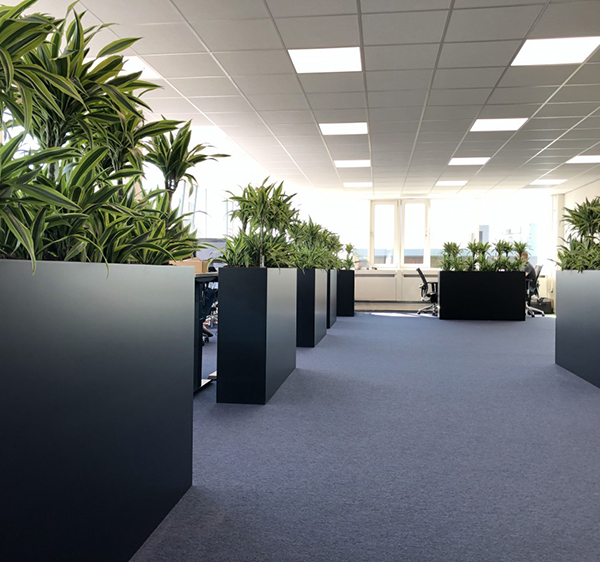 [1800] Plantenbak grijs (1500 x 300 x 1000 mm, Zijdeglans, NCS S 4005-Y20R - Taupe, Inclusief zwenkwielen)