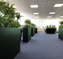 Plantenbak groen