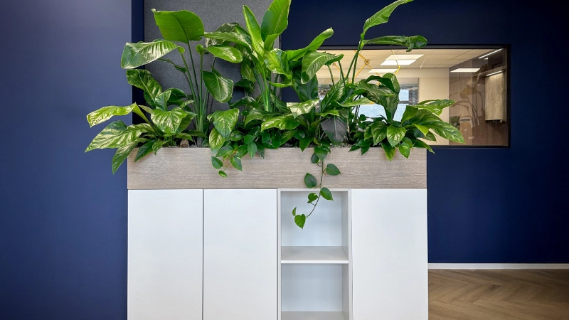 Plantenbakken